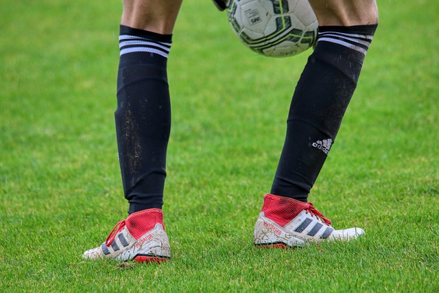 及会员交流 及会员交流