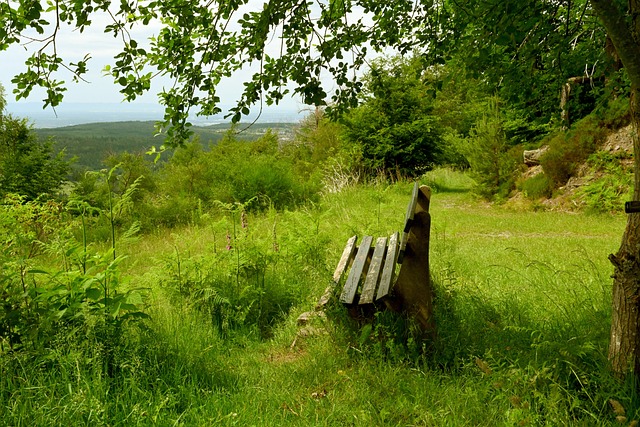 生活质量与 生活质量与