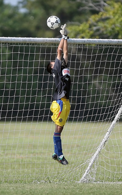 康的意识 康的意识