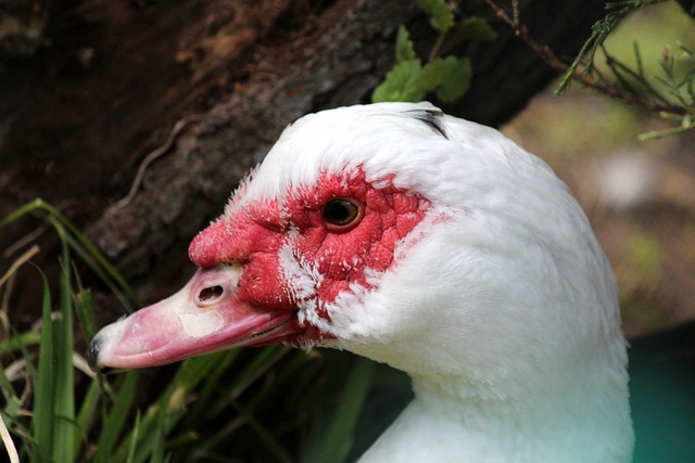 员形成连线